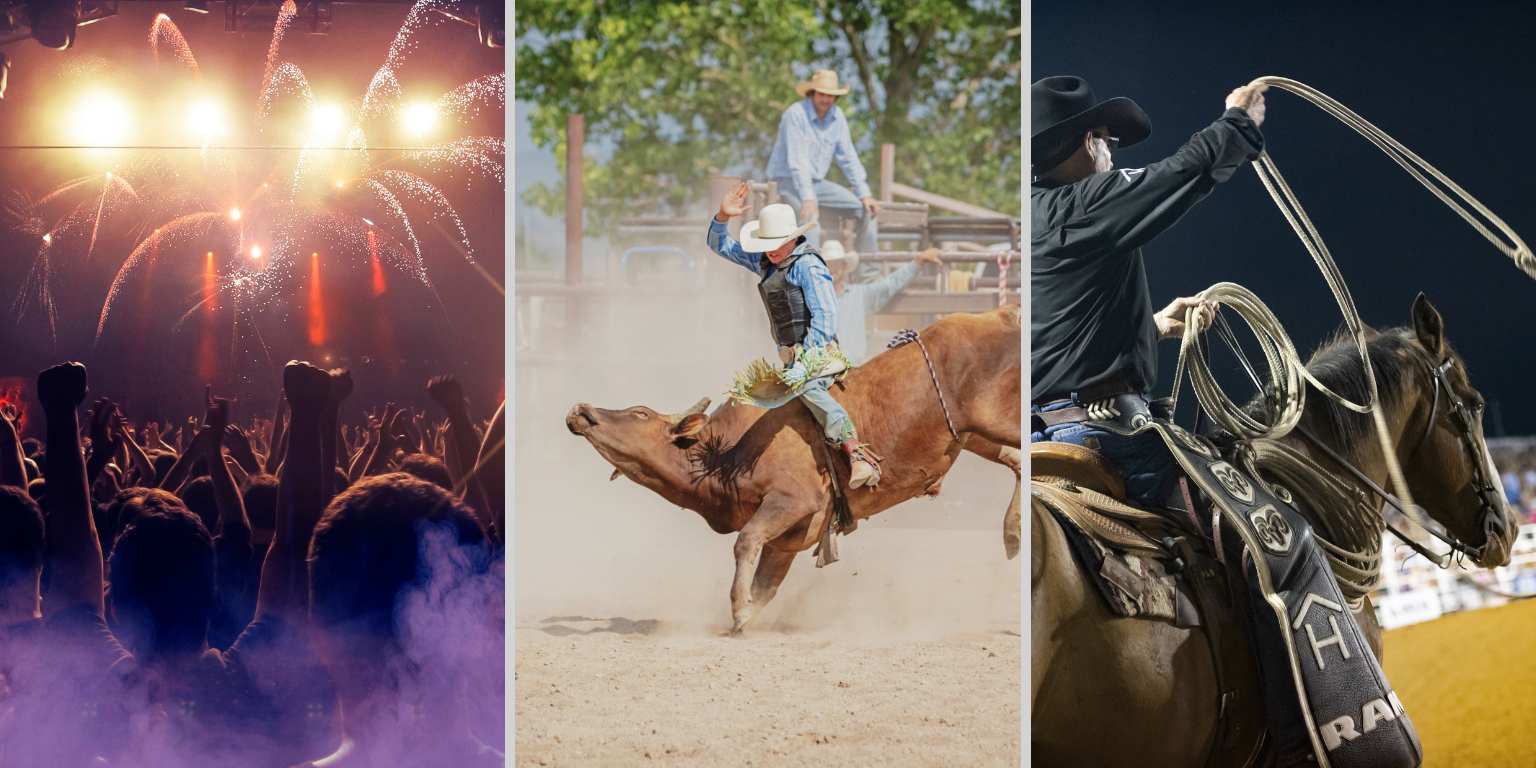 Houston Rodeo 2025- What to Expect